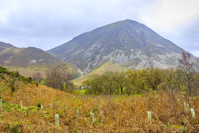 Grasmoor Grasmoor